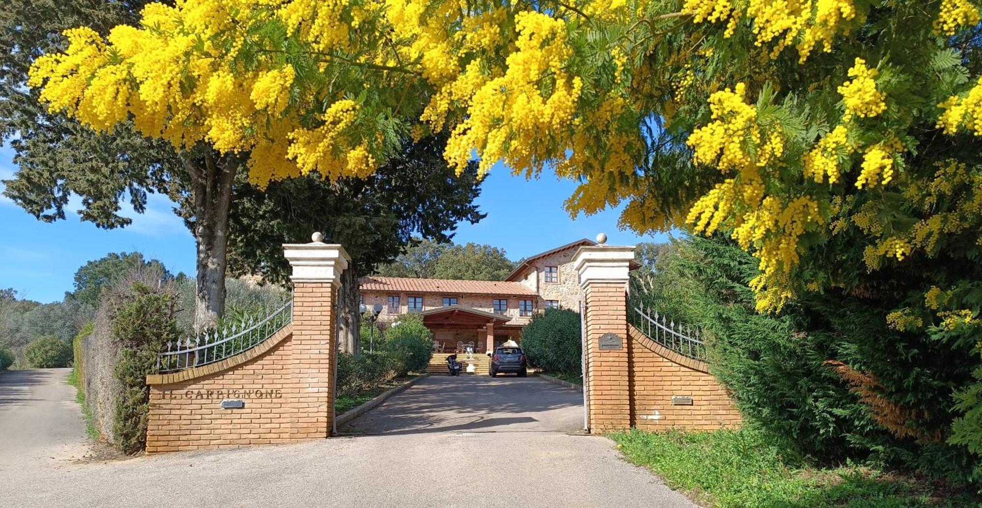 Agriturismo Capricorni Massa Marittima Exteriér fotografie